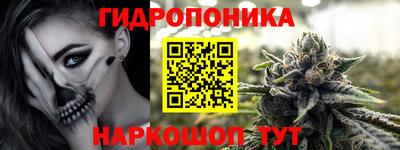 spice Новодвинск