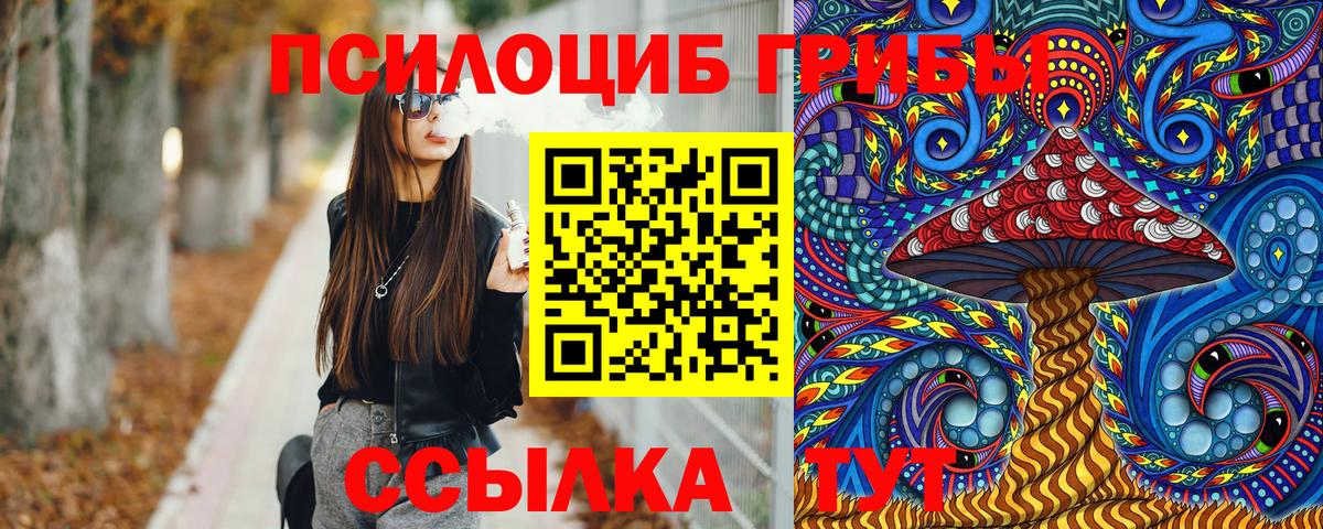Советск  Псилоцибиновые грибы MAGIC MUSHROOMS  Вход с VPN 